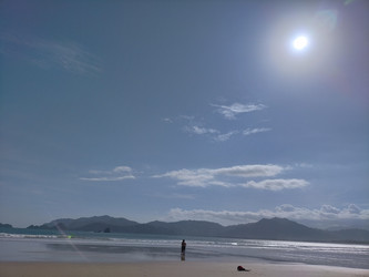 Similar image 22536581