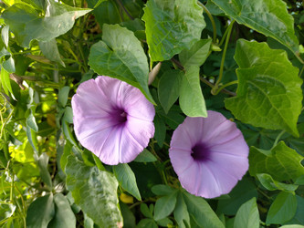 Similar image 22536595