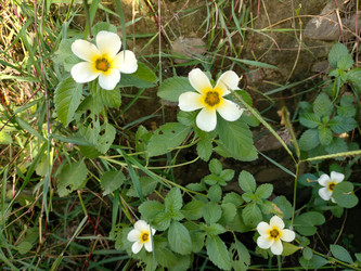 Similar image 22498623