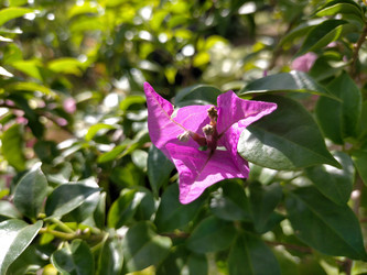 Similar image 22498638