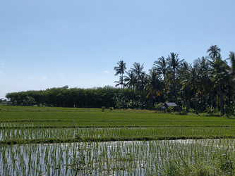 Similar image 22498653