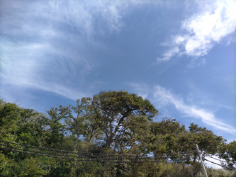 Similar image 22498684