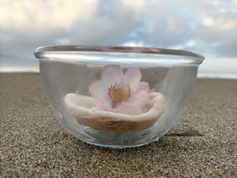 Similar image 22498713