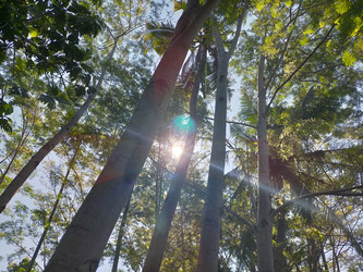 Similar image 22498743