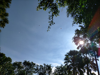 Similar image 22498759