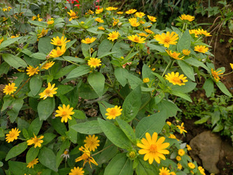 Similar image 22498790