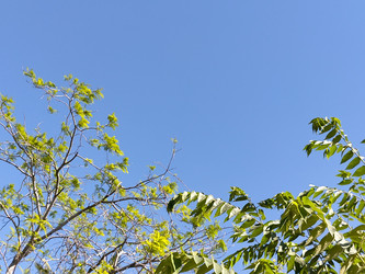 Similar image 22498803