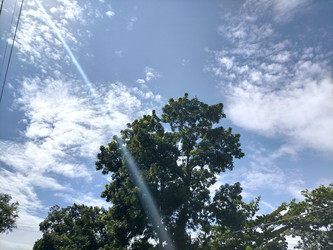 Similar image 22498820