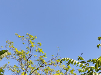 Similar image 22498847