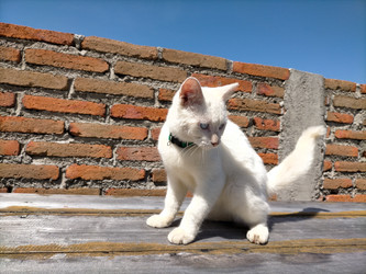 Similar image 22498879