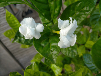 Similar image 22498880