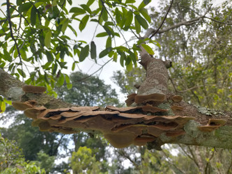 Similar image 22498924