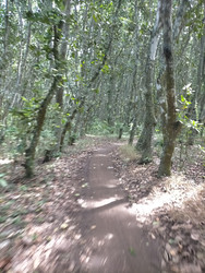 Similar image 22498939