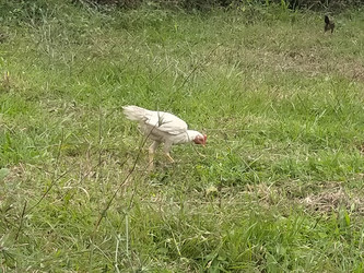 Similar image 22498956