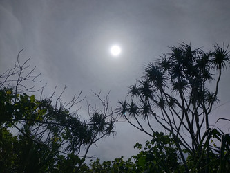 Similar image 22498969