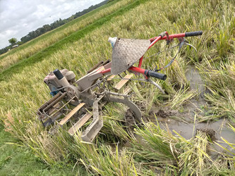 Similar image 22498984