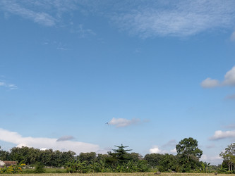 Similar image 22499000