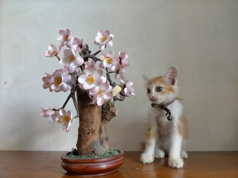 Similar image 22499014