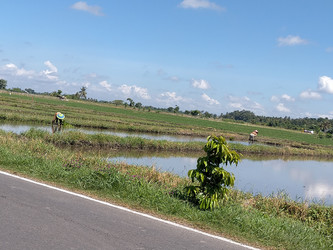 Similar image 22499031