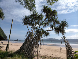 Similar image 22499061