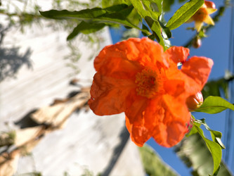 Similar image 22499075