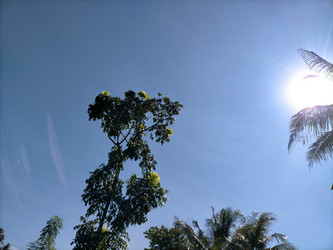 Similar image 22499088