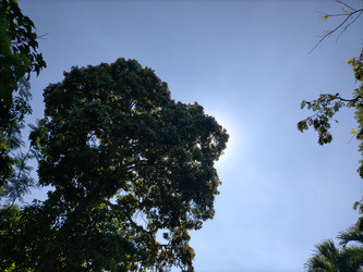 Similar image 22499089