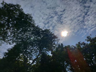 Similar image 22499355