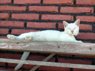 Similar image 22499369