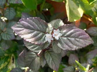 Similar image 22499444