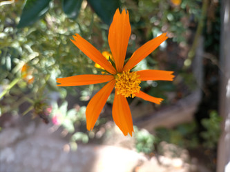 Similar image 22501277