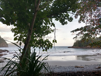 Similar image 22501284