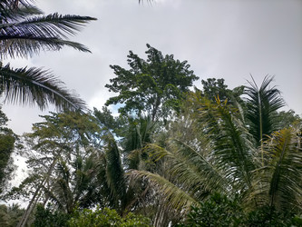 Similar image 22501299