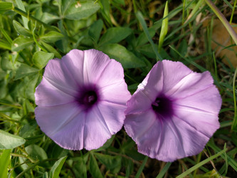 Similar image 22501312