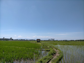 Similar image 22501313