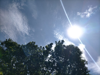 Similar image 22501330