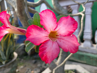 Similar image 22501344