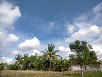 Similar image 22503966