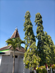 Similar image 22532550