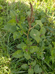 Similar image 22532591