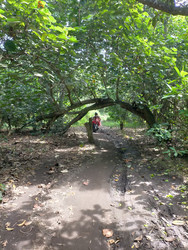 Similar image 22532610