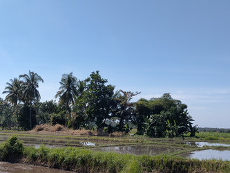 Similar image 22532635