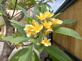 Similar image 22532652