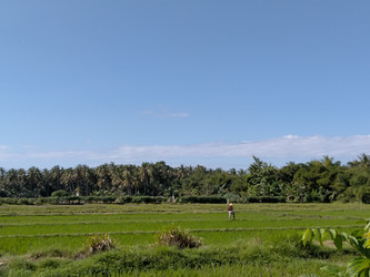 Similar image 22532676