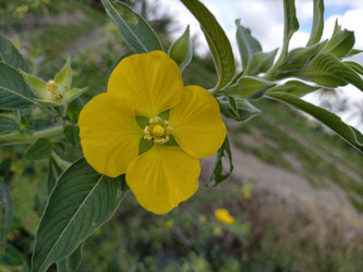 Similar image 22532677