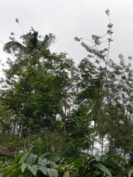 Similar image 22532718