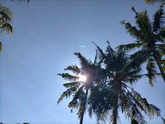 Similar image 22532762