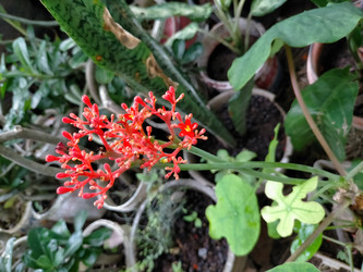 Similar image 22532763