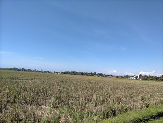 Similar image 22532783