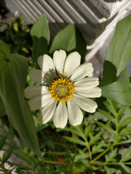 Similar image 22532784